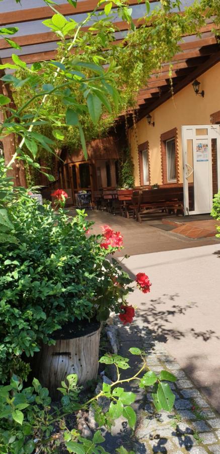 Siedlisko Pod Debem Hotel Wilimy Ngoại thất bức ảnh